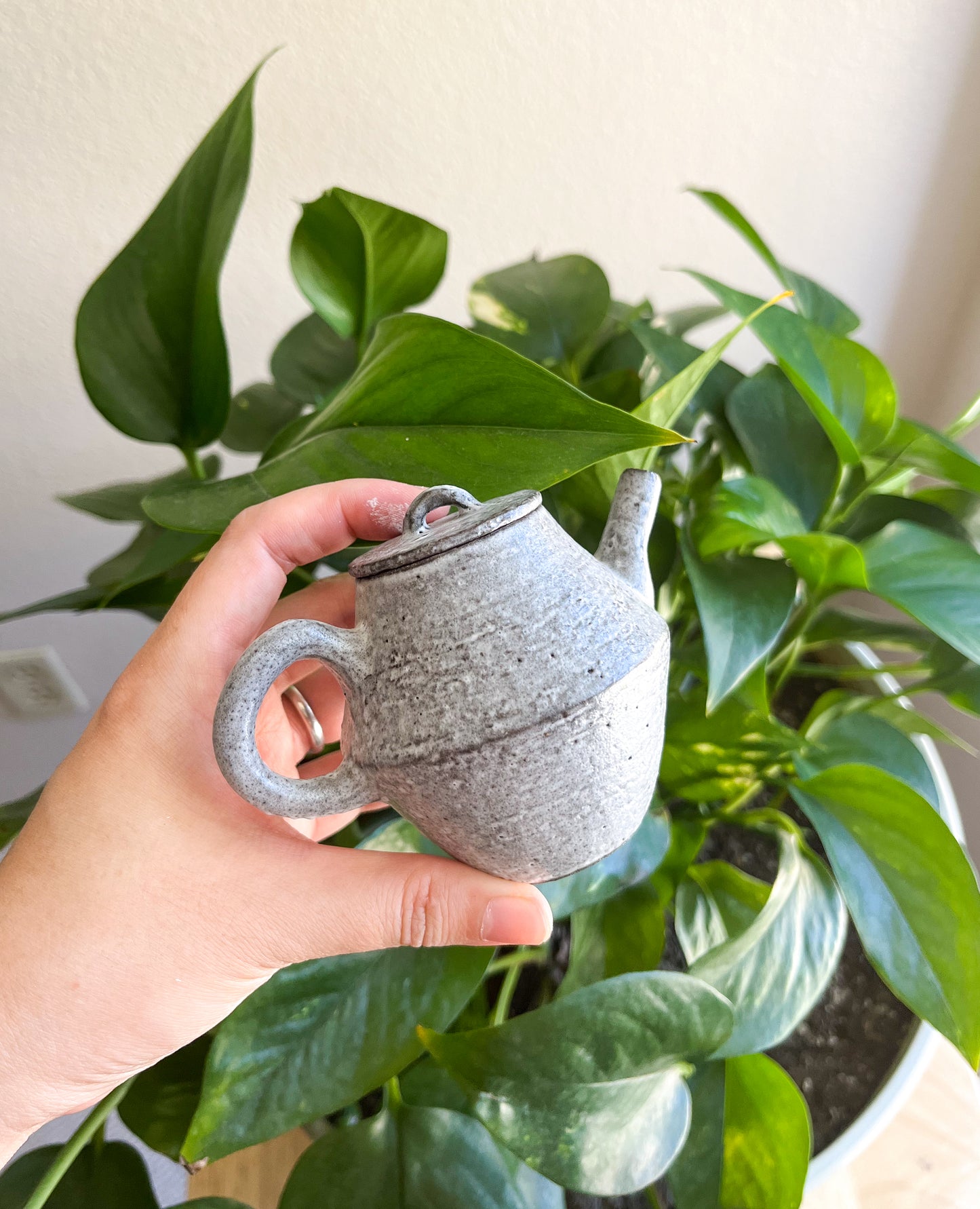 Handcrafted Woodfired Wabi Sabi Teapot (wood ash glaze)