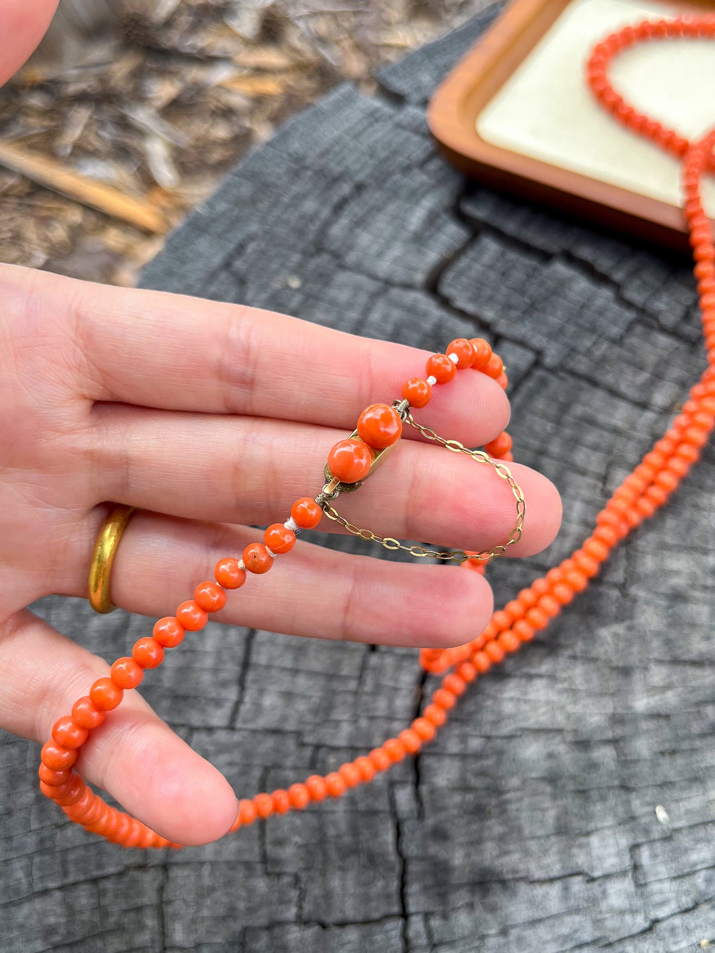 Antique Victorian Long Coral Necklace (UK 1890s) collectible jewelry, sustainable jewelry, antique necklace, beautiful coral necklace, witchy