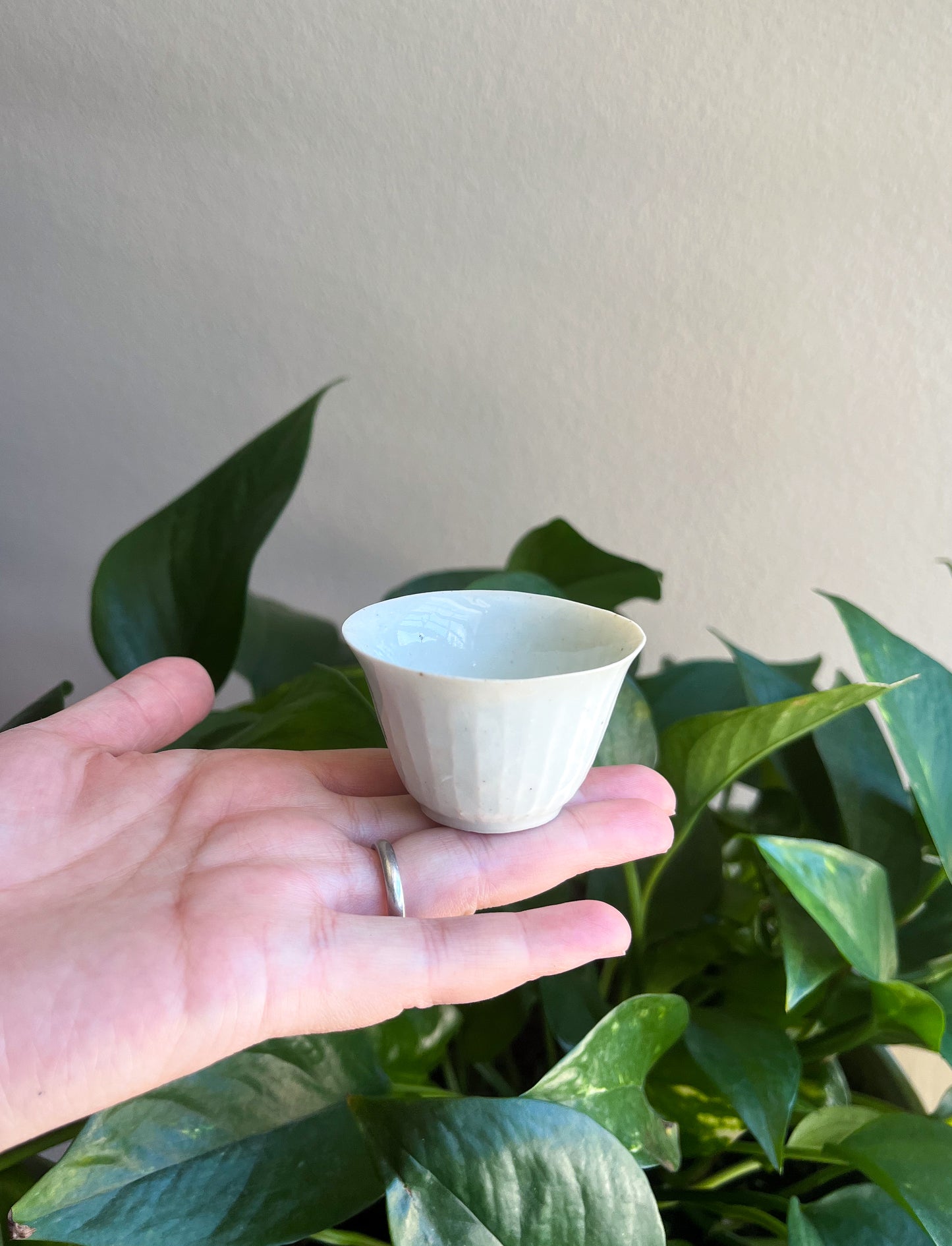 Handcrafted Porcelain Chinese Teacup Set (wood ash glaze)