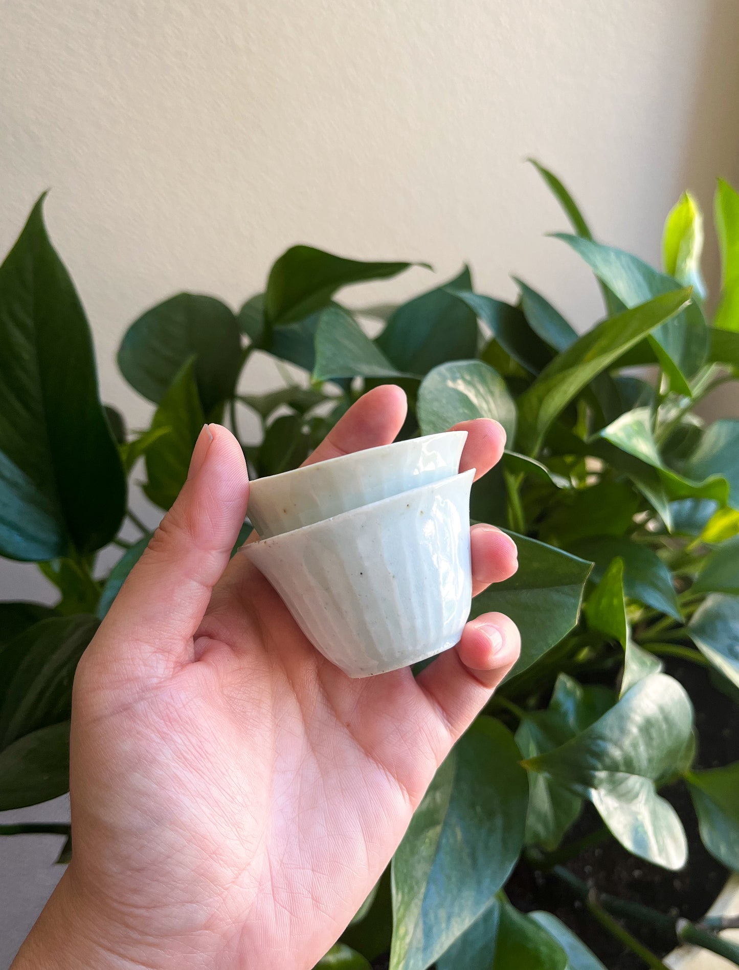 Handcrafted Porcelain Chinese Teacup Set (wood ash glaze)