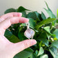 Lodolite (Garden Quartz) Phantom Quartz + Genuine Moldavite silver Pendant, wire wrapped jewelry, handmade gift