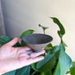 Handcrafted Woodfired Rough Clay Wabi Sabi Teacup (black)