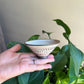 Handcrafted Woodfired Rough Clay Wabi Sabi Teacup (white)