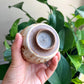 Handcrafted Wood-fired Ash-glaze Matcha Teacup Wabi Sabi