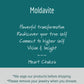 Natural Prehnite + Genuine Moldavite Silver Pendant #3